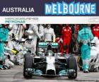 Нико Росберг празднует свою победу в Гран-при Австралии 2014